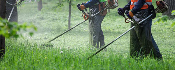 rotofil thermique