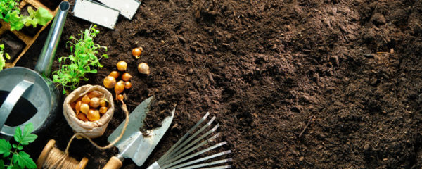 accessoires de jardinage
