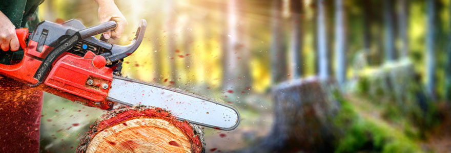 quelle-marque-choisir-pour-sa-tronconneuse